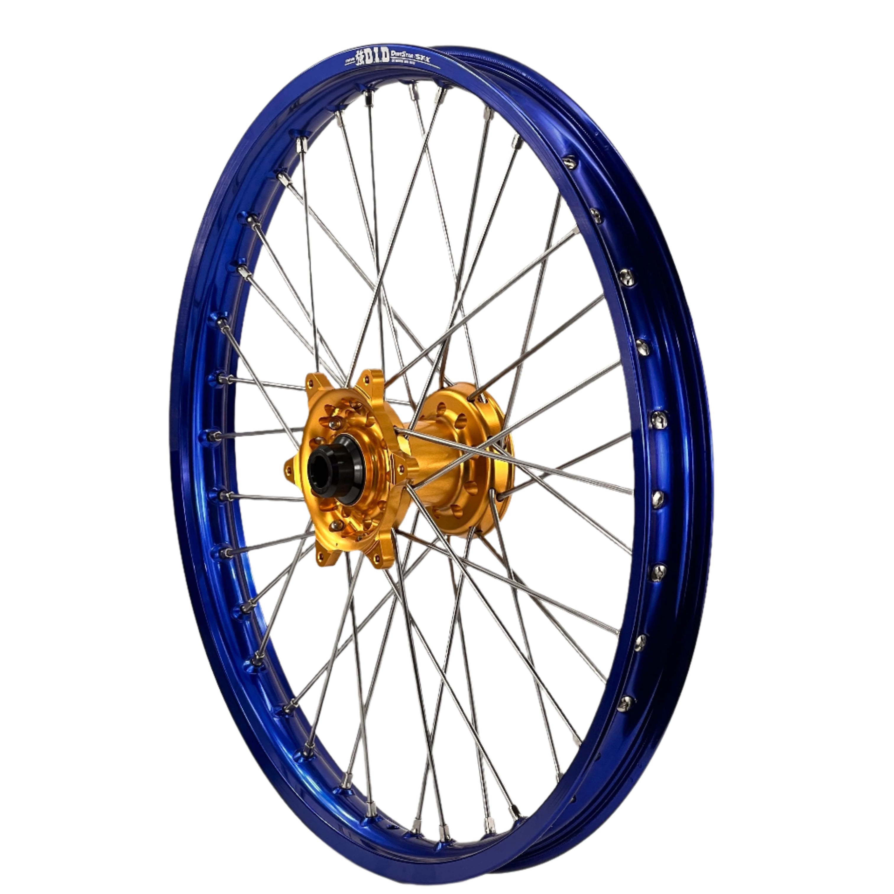ENVY-DID BLUE-GOLD
