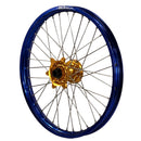 ENVY-DID BLUE-GOLD-6