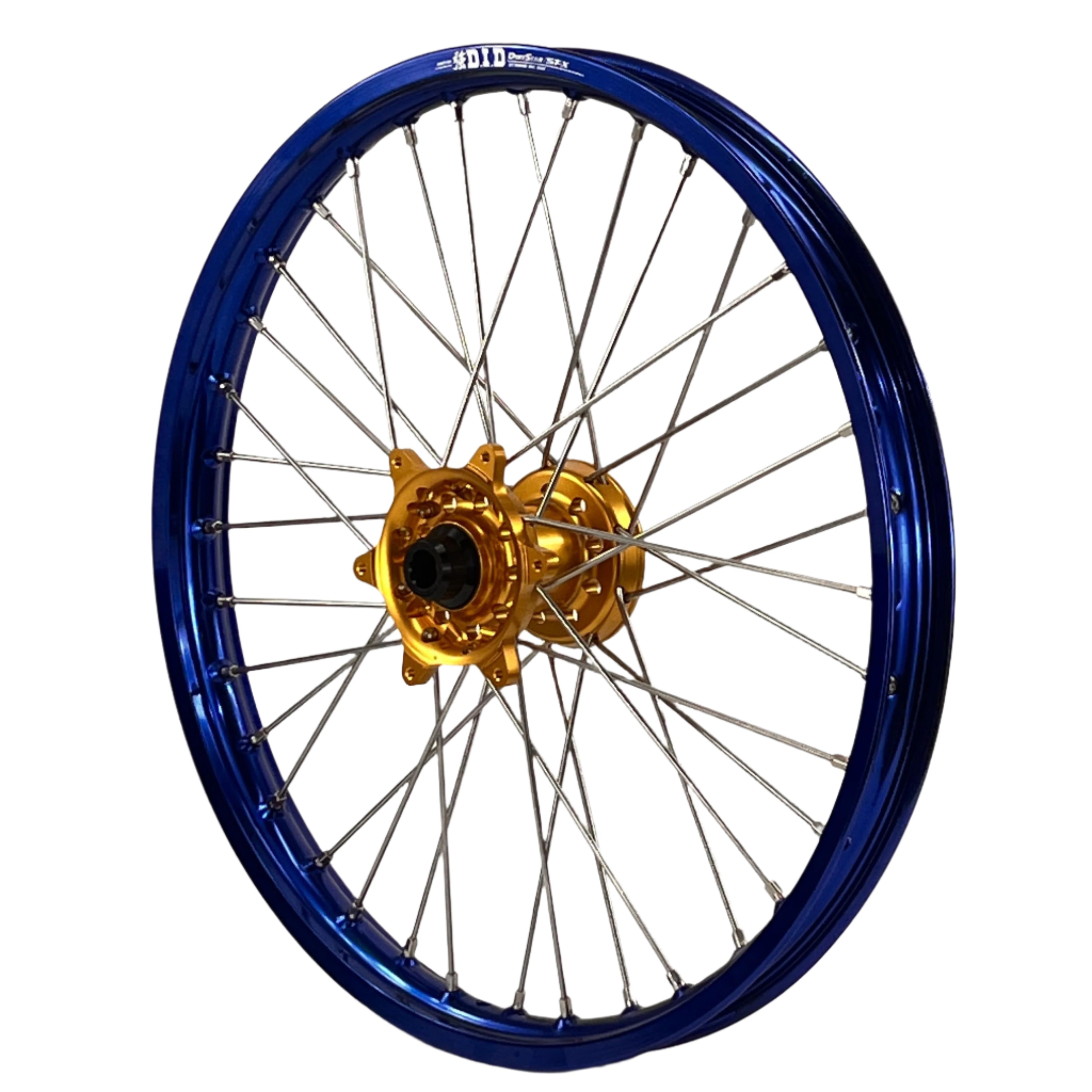 ENVY-DID BLUE-GOLD