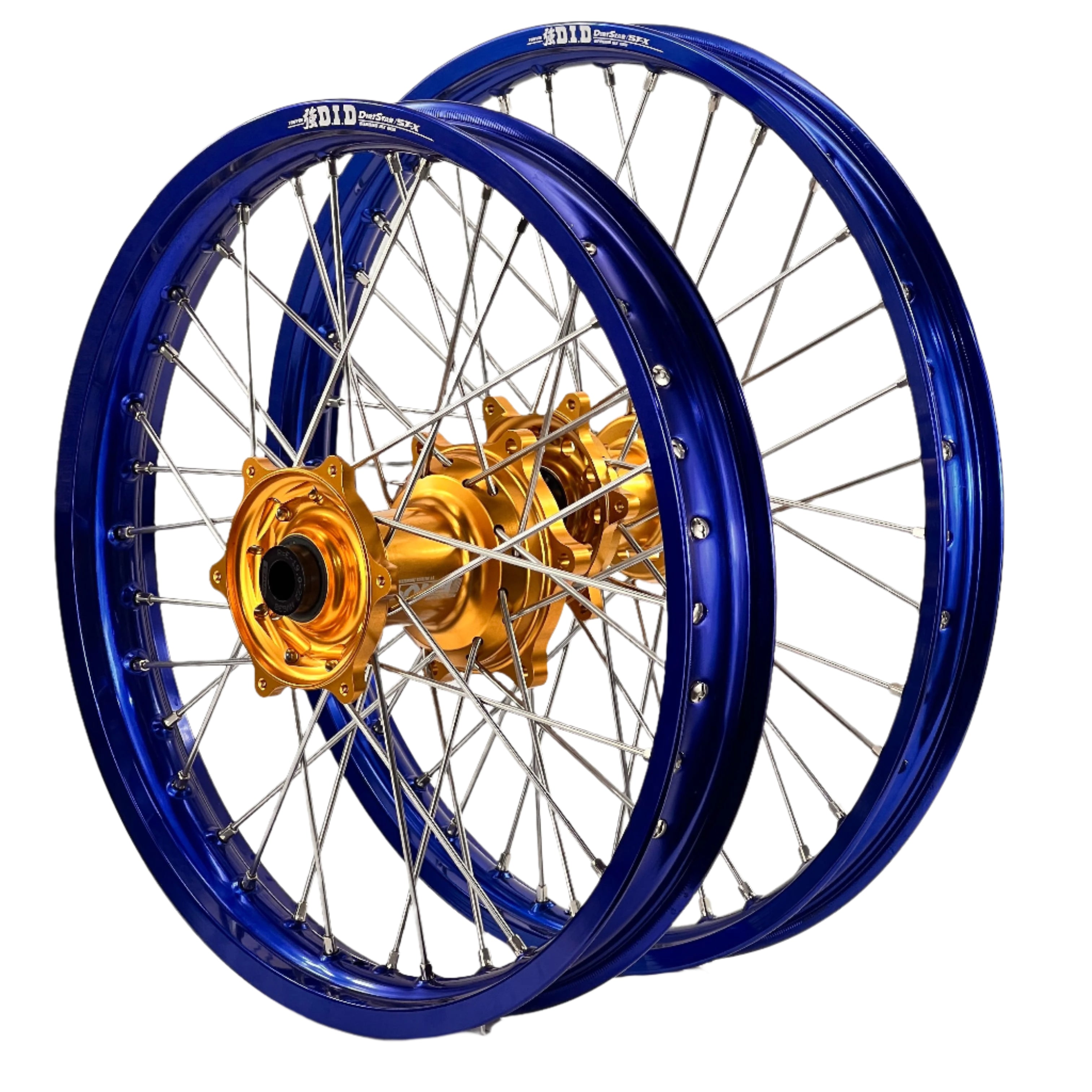 ENVY-DID BLUE-GOLD