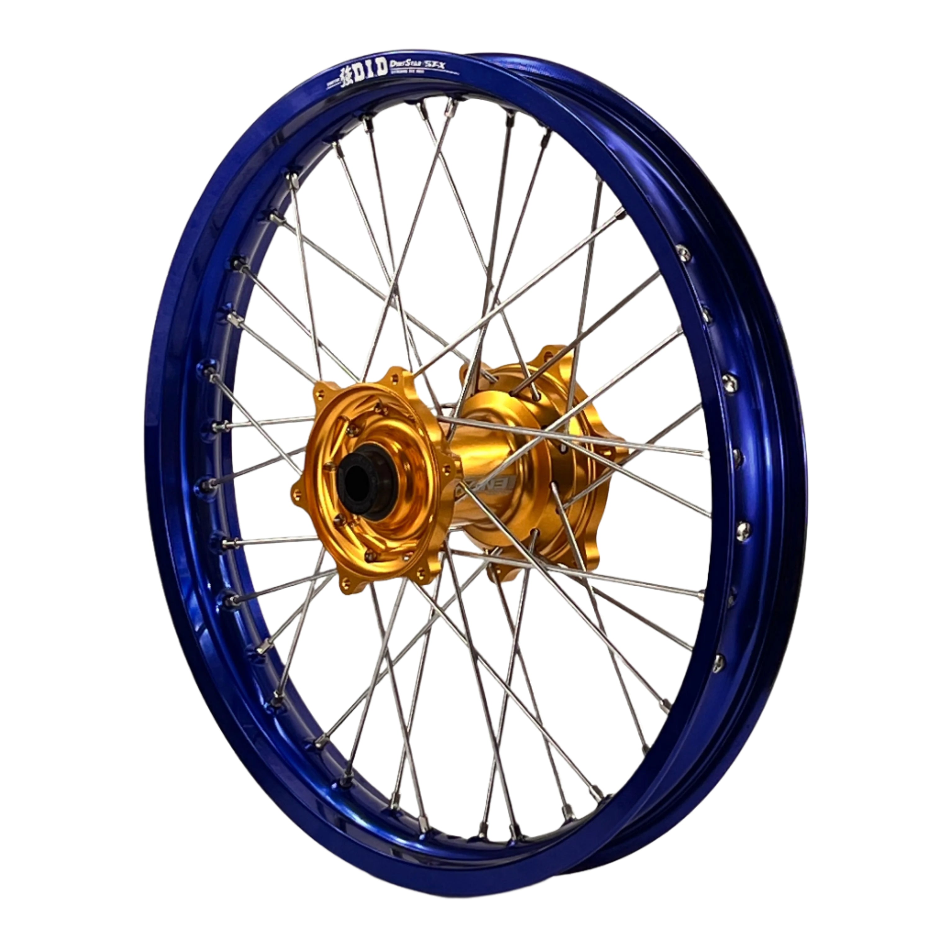 ENVY-DID BLUE-GOLD