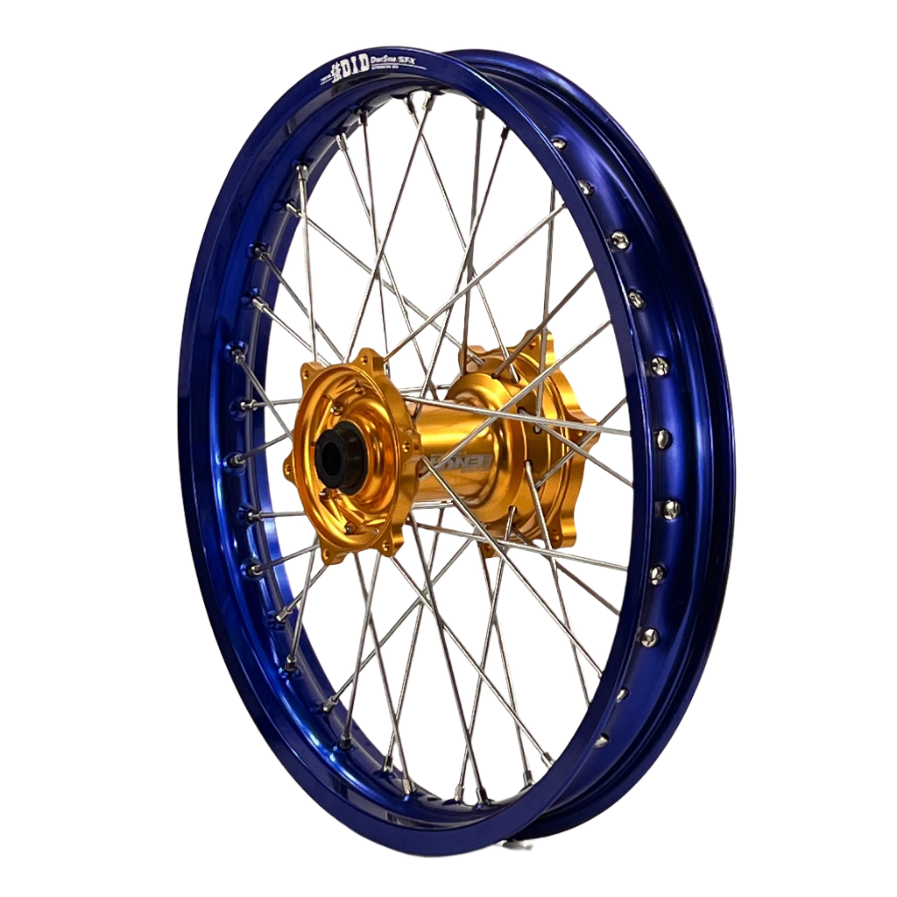 ENVY-DID BLUE-GOLD