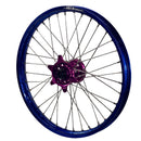 ENVY-DID BLUE-PURPLE-6