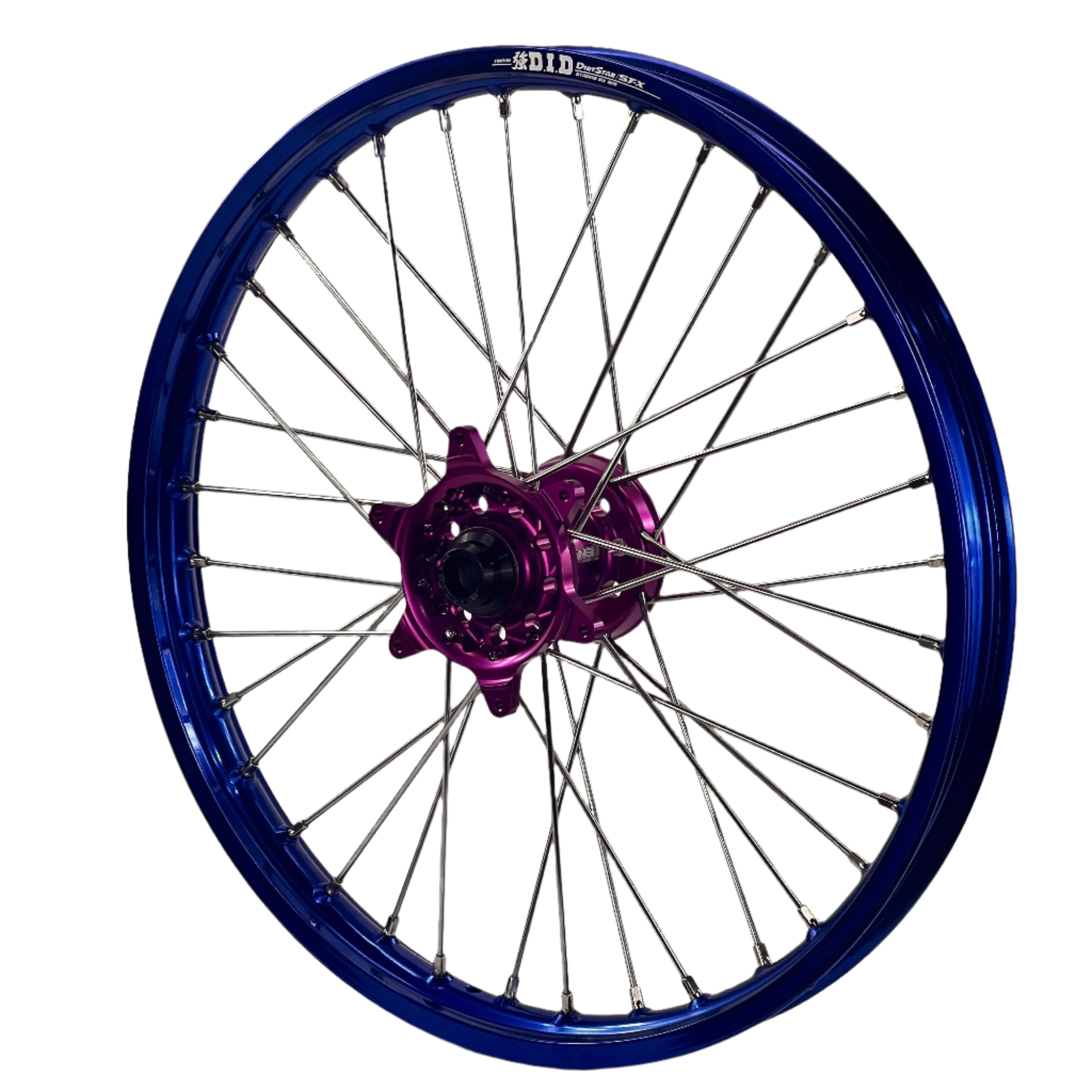 ENVY-DID BLUE-PURPLE