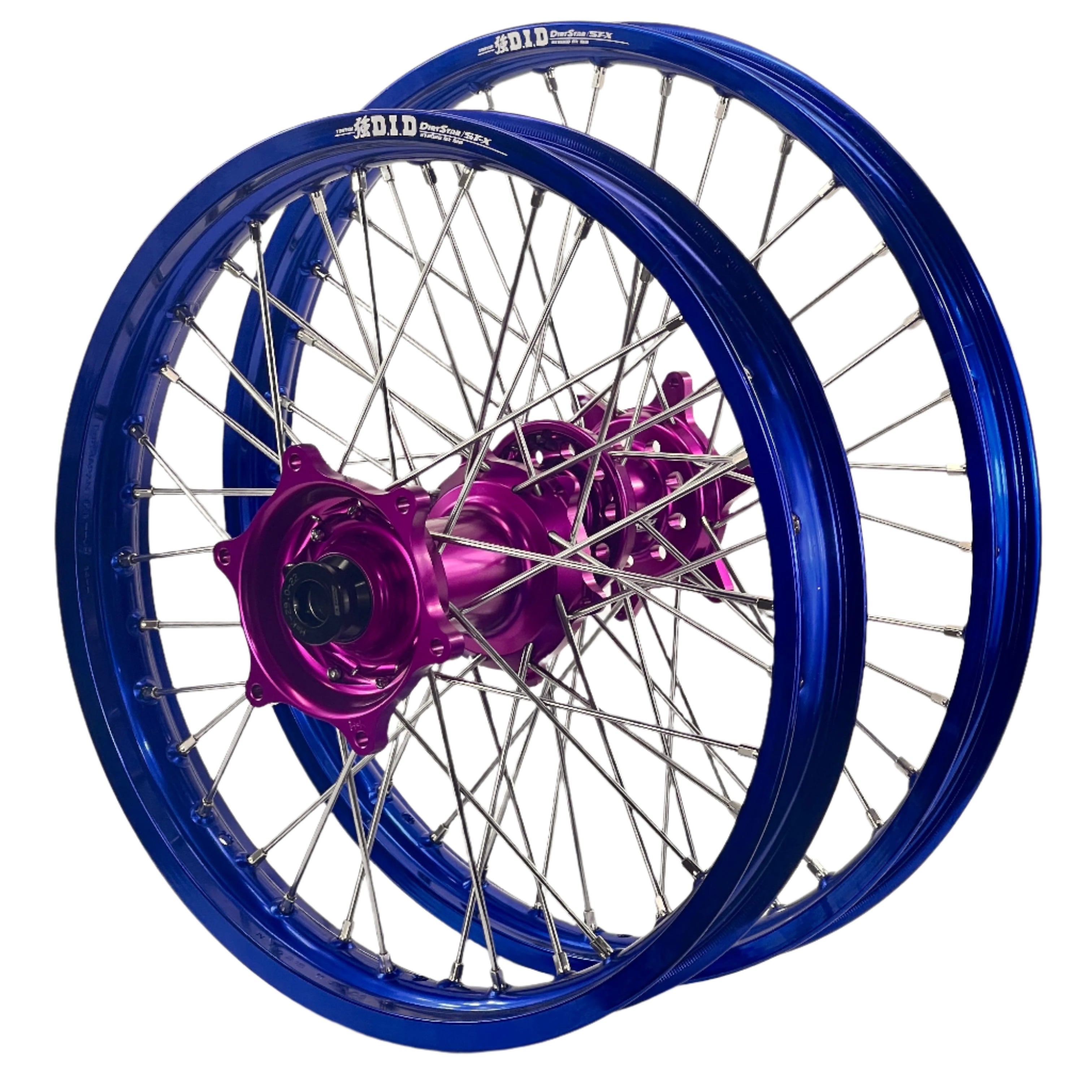 ENVY-DID BLUE-PURPLE