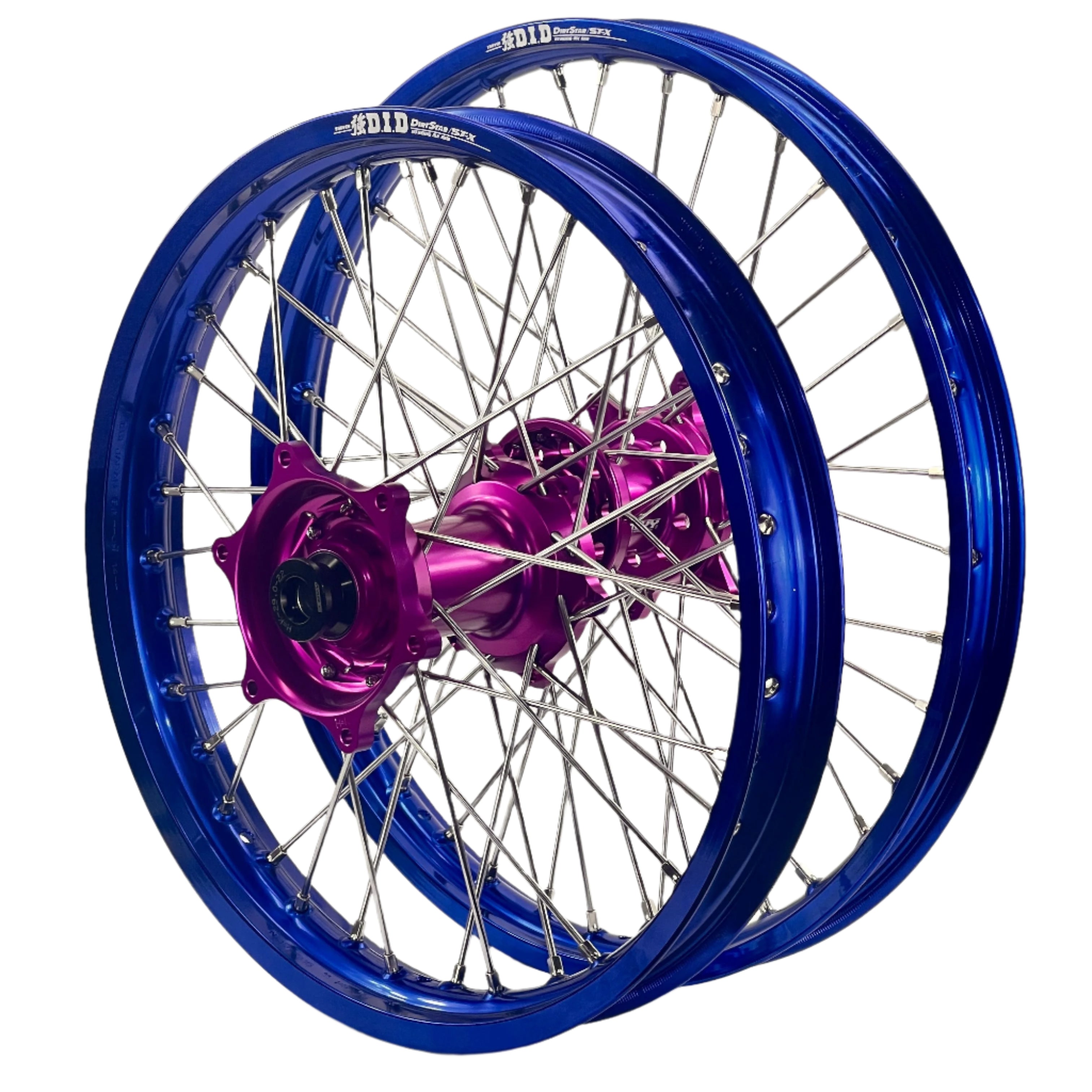 ENVY-DID BLUE-PURPLE