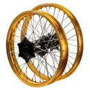 ENVY-DID GOLD-BLACK-1