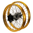 ENVY-DID GOLD-BLACK-2