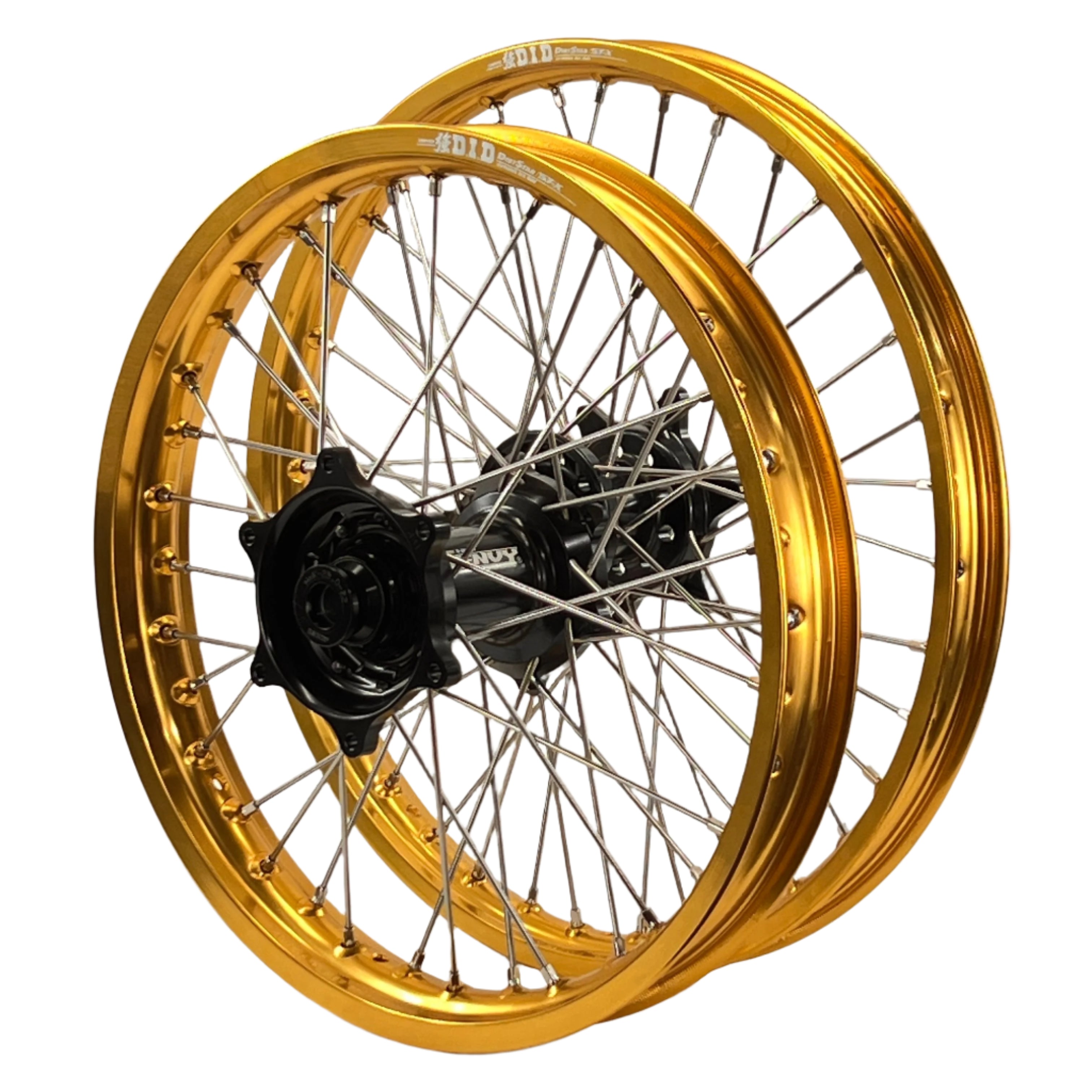 ENVY-DID GOLD-BLACK