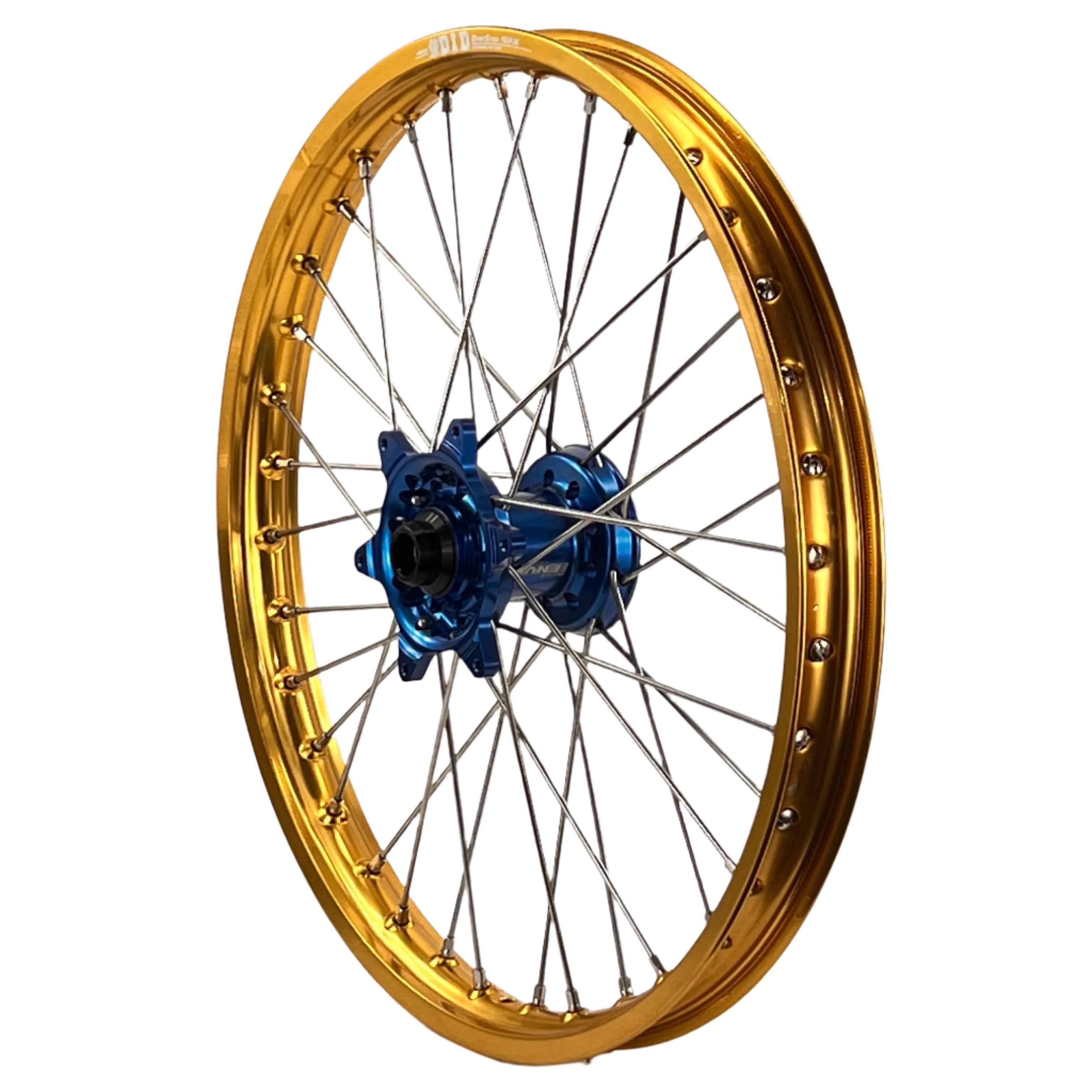 ENVY-DID GOLD-BLUE