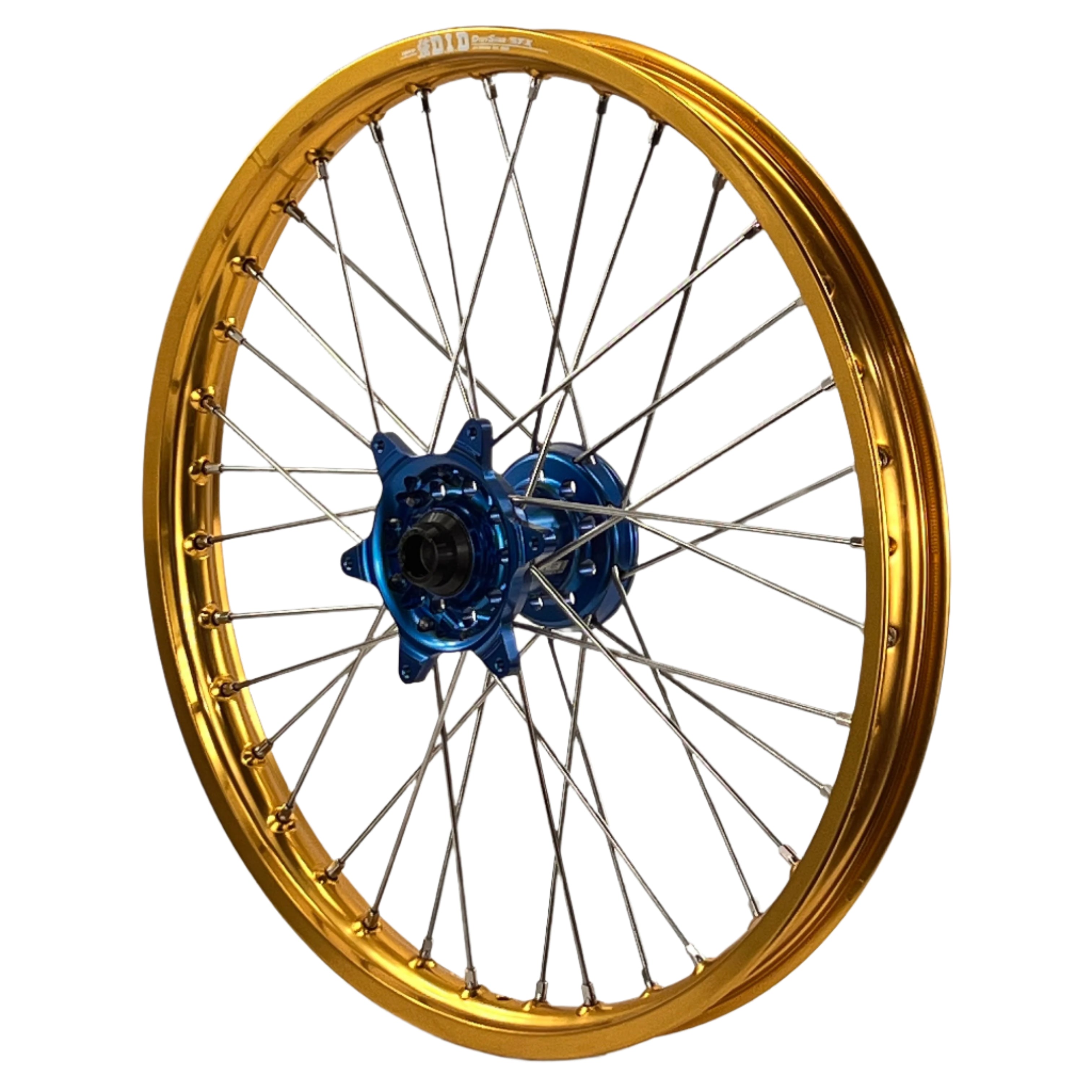 ENVY-DID GOLD-BLUE