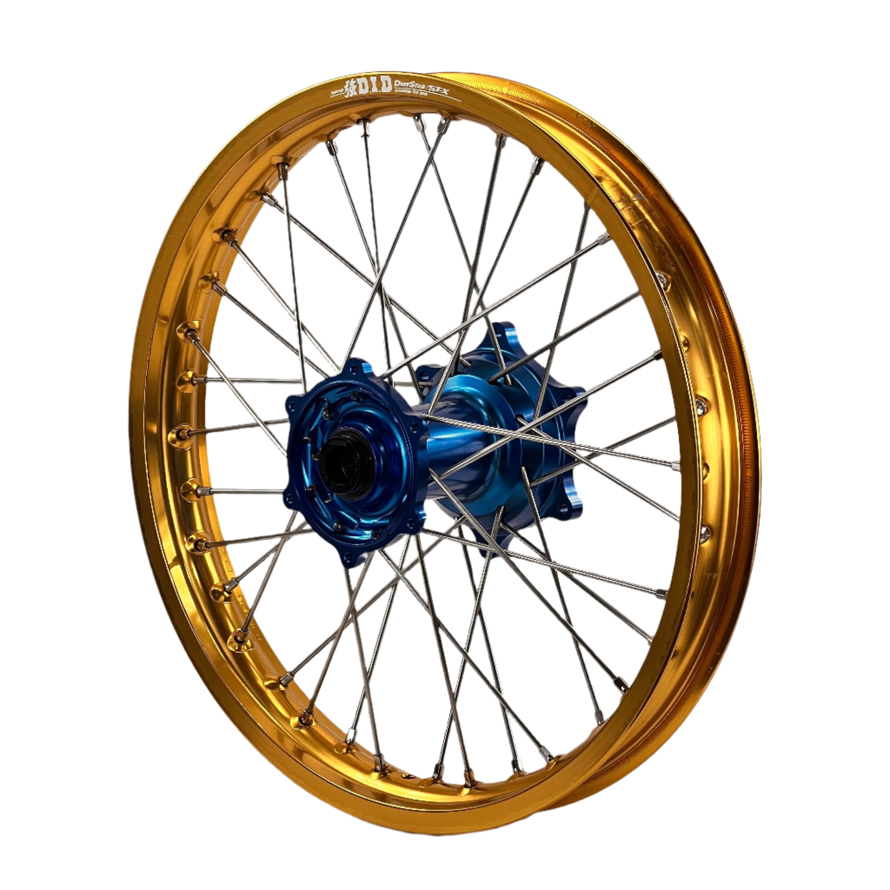 ENVY-DID GOLD-BLUE