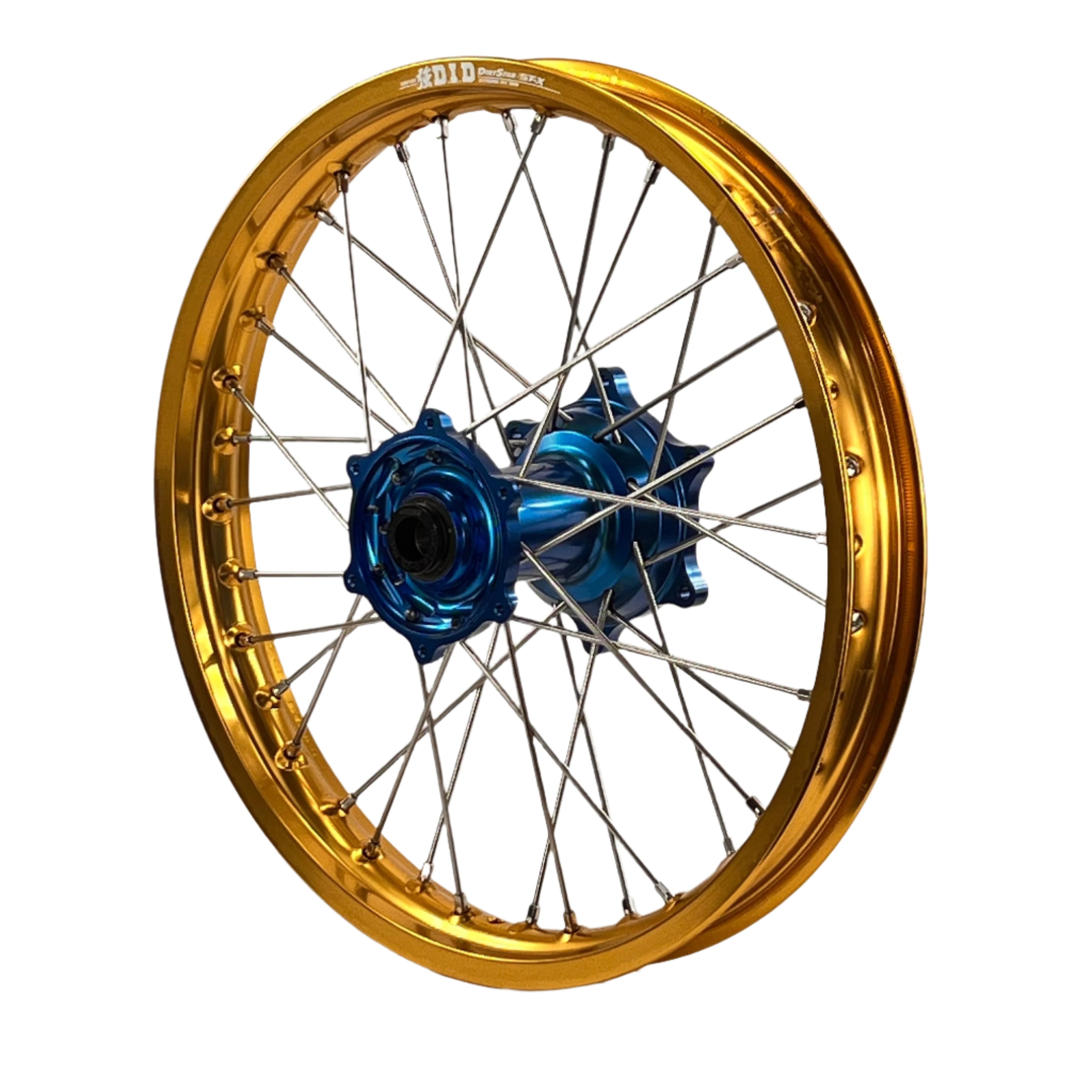 ENVY-DID GOLD-BLUE