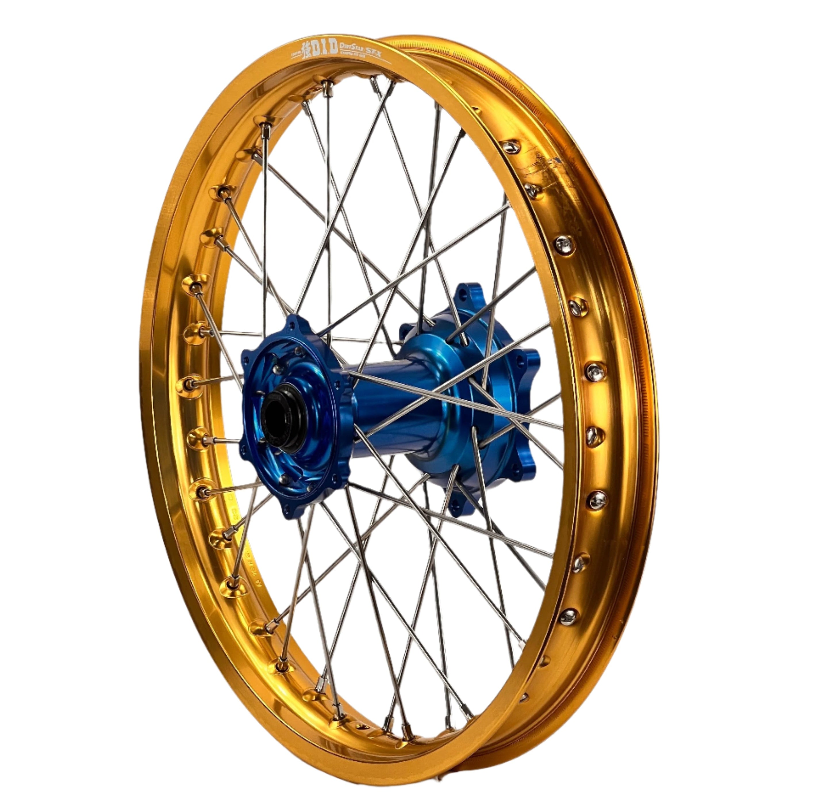 ENVY-DID GOLD-BLUE