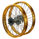 ENVY-DID GOLD-TITAN-3