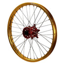 ENVY-DID GOLD-RED-6