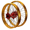 ENVY-DID GOLD-RED-1